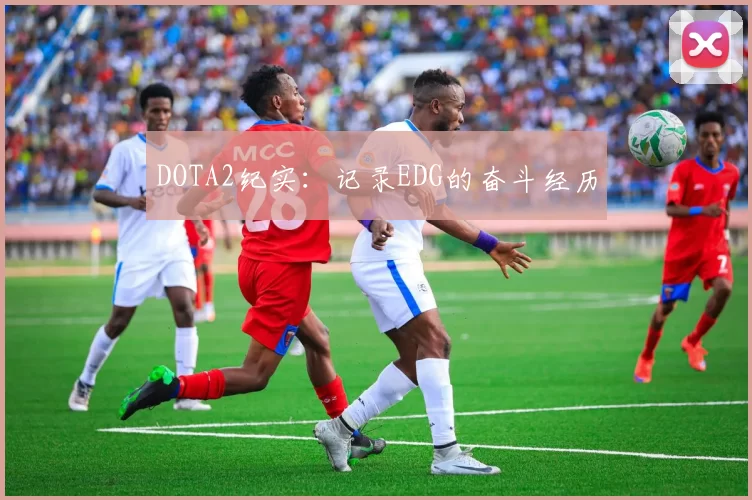 DOTA2纪实：记录EDG的奋斗经历